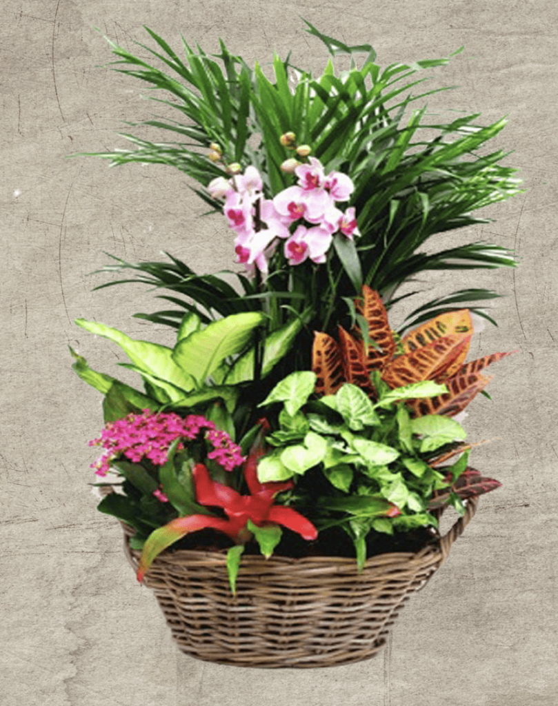 Decoración Floral