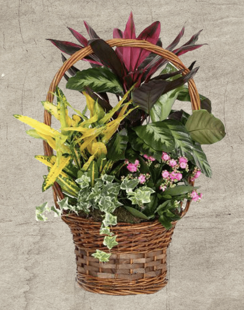Decoración Floral